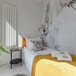 Deluxe Studio met een King Size Bed